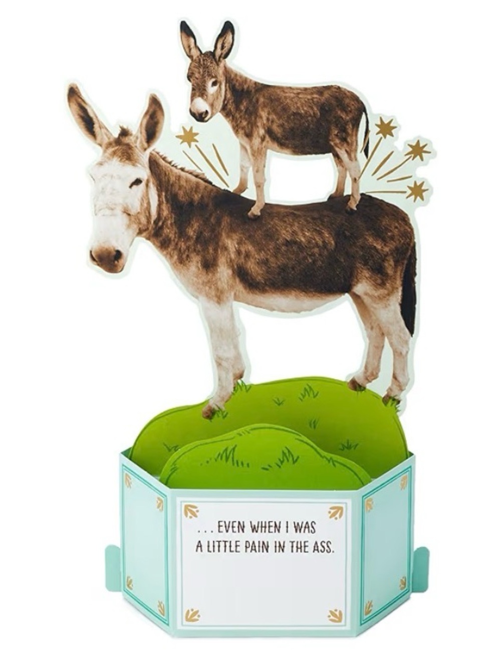 Hallmark Paper Wonder Pop-Up Card - Picture 5 of 6
